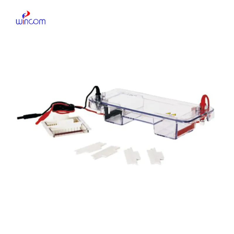 Horizontal Cell ELP-BT